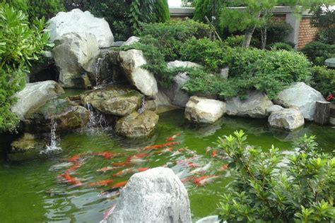 魚池风水